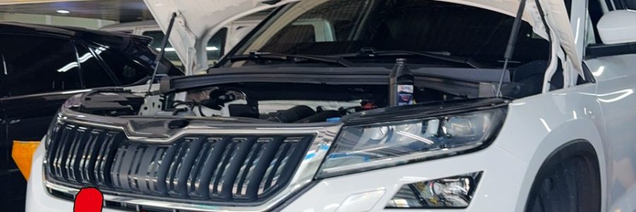 2020年 SKODA Kodiaq 1.4tsi 定期保養剛滿過保 前剎車皮盤剎車油更換